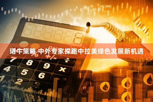 珺牛策略 中外专家探路中拉美绿色发展新机遇