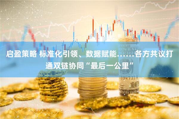 启盈策略 标准化引领、数据赋能……各方共议打通双链协同“最后一公里”