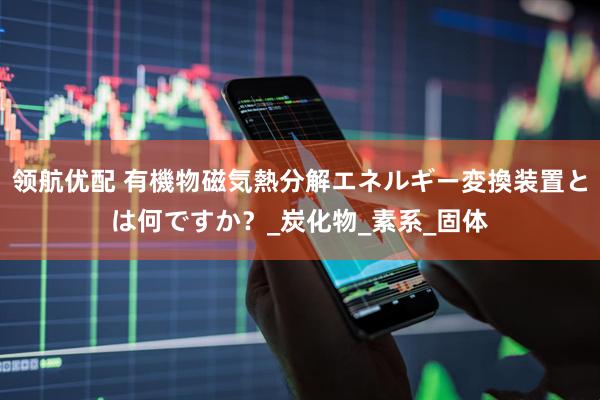 领航优配 有機物磁気熱分解エネルギー変換装置とは何ですか？_炭化物_素系_固体