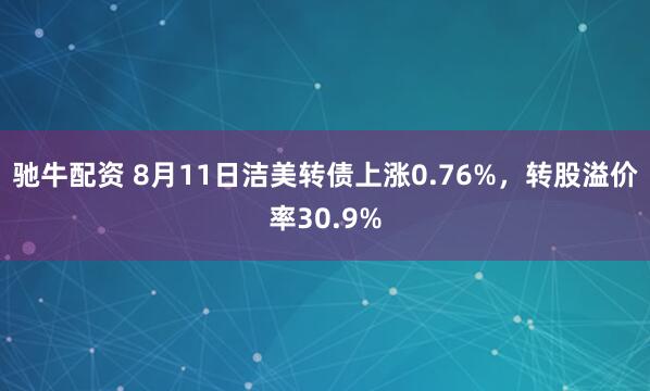 驰牛配资 8月11日洁美转债上涨0.76%，转股溢价率30.9%