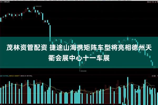 茂林资管配资 捷途山海携矩阵车型将亮相德州天衢会展中心十一车展