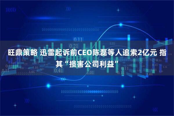 旺鼎策略 迅雷起诉前CEO陈磊等人追索2亿元 指其“损害公司利益”